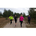 Kurs na instruktora Nordic Walking