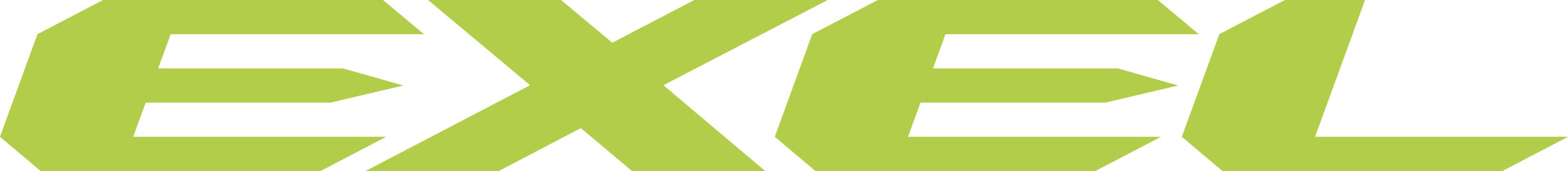 Logo firmy Exel producenta kijów do nordic walkingu